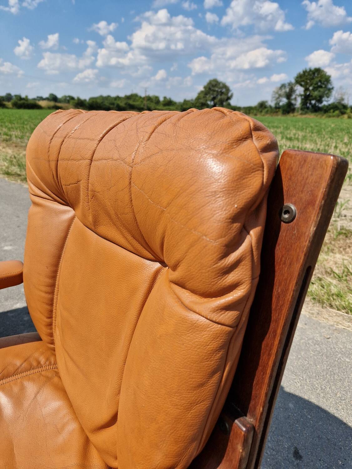 Set of 2 vintage Scandinavian armchairs co.fe.mo Italy 1970