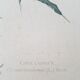 Ancienne planche affiche botanique dessin chardon 1955