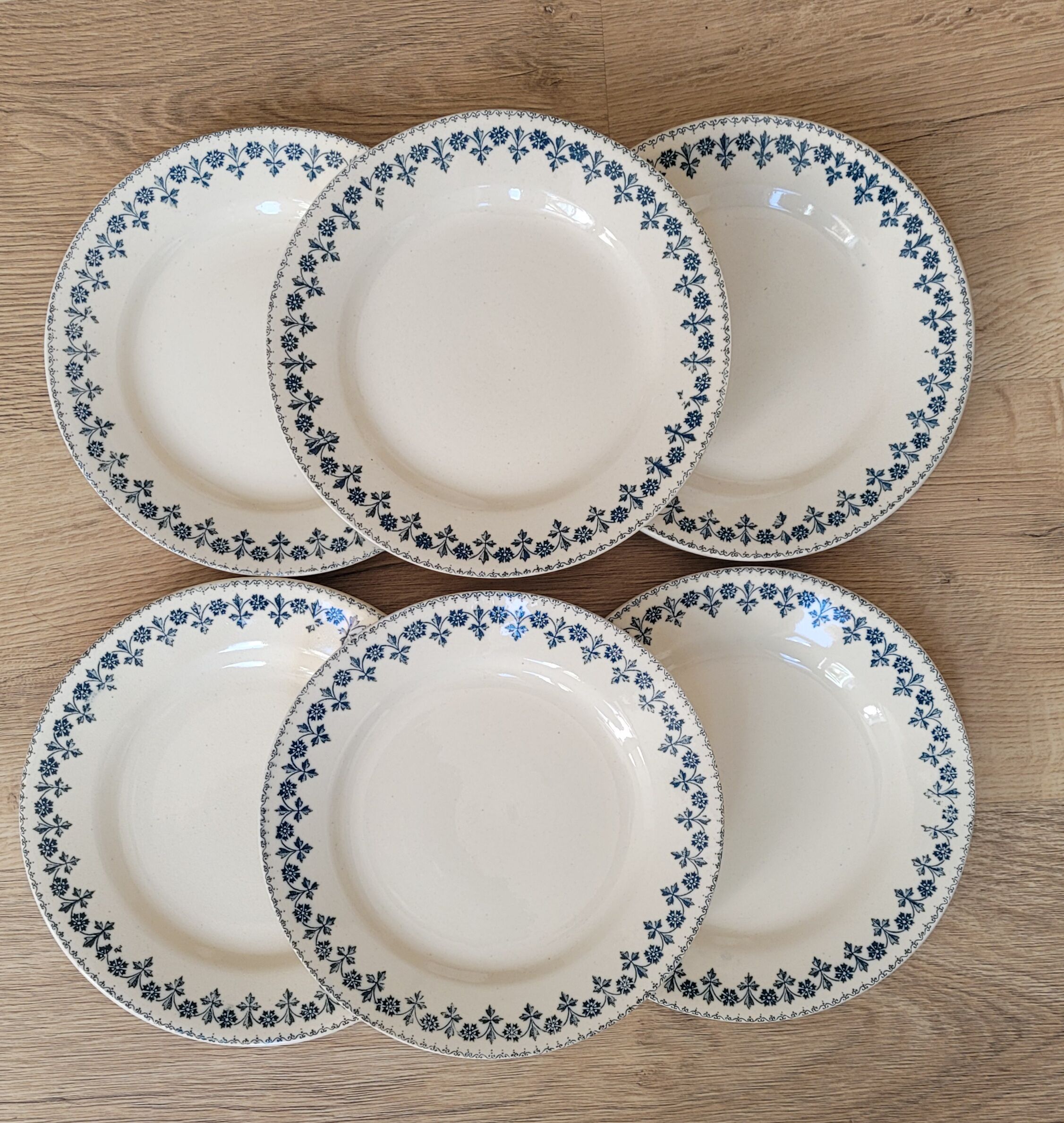 Set 6 plates Terre de Fer Barbeaux