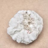 White coral, 70s