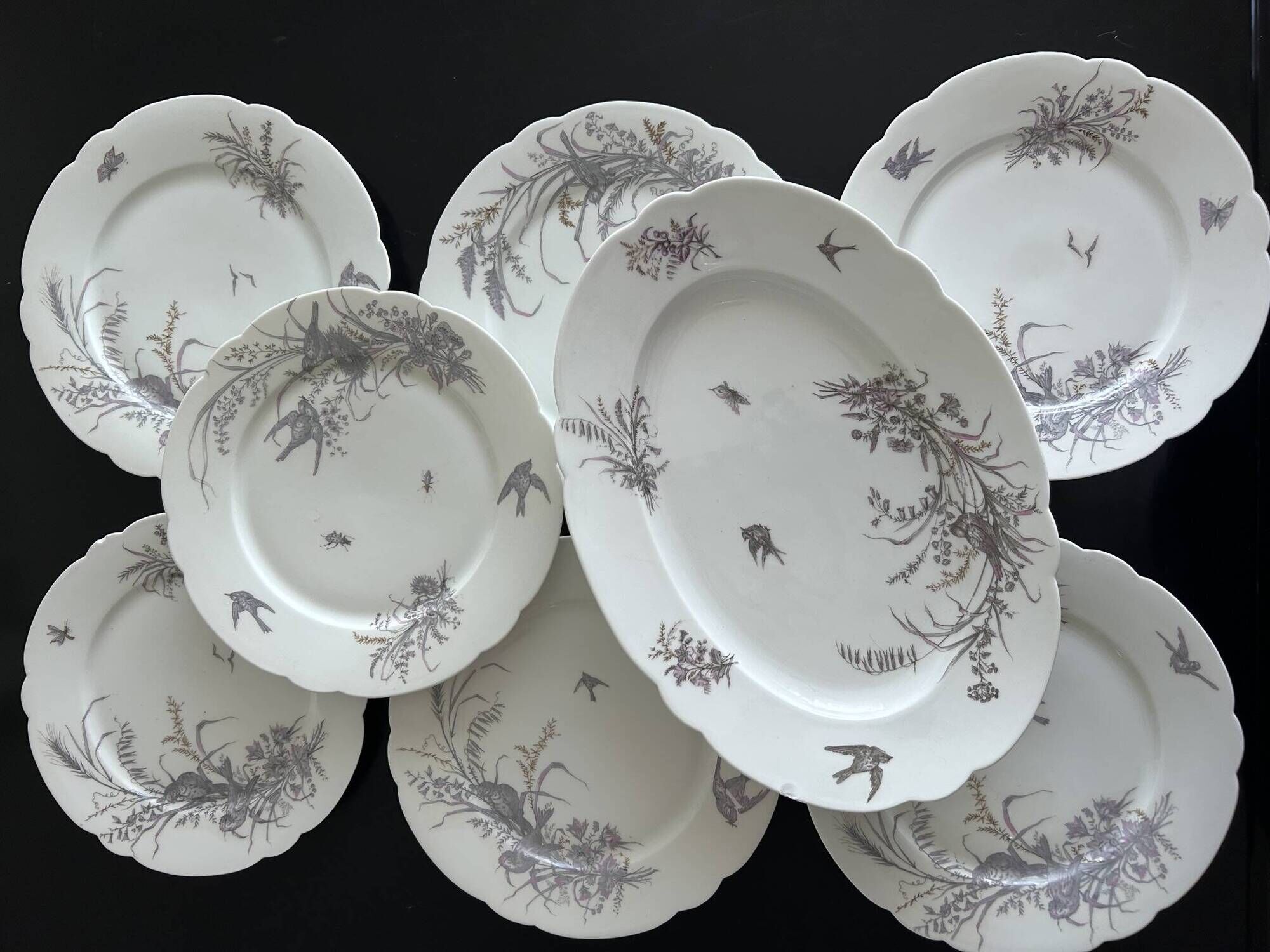 8 porcelain plates and 1 dish CH Pillivuyt & Cie