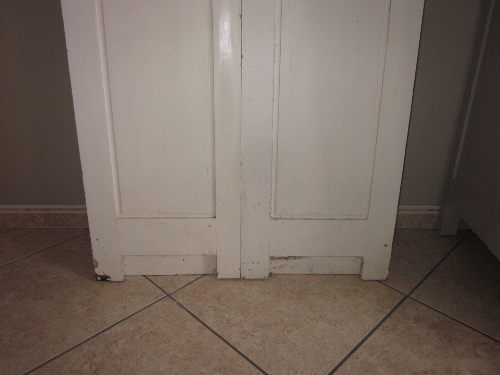 Old closet door pair