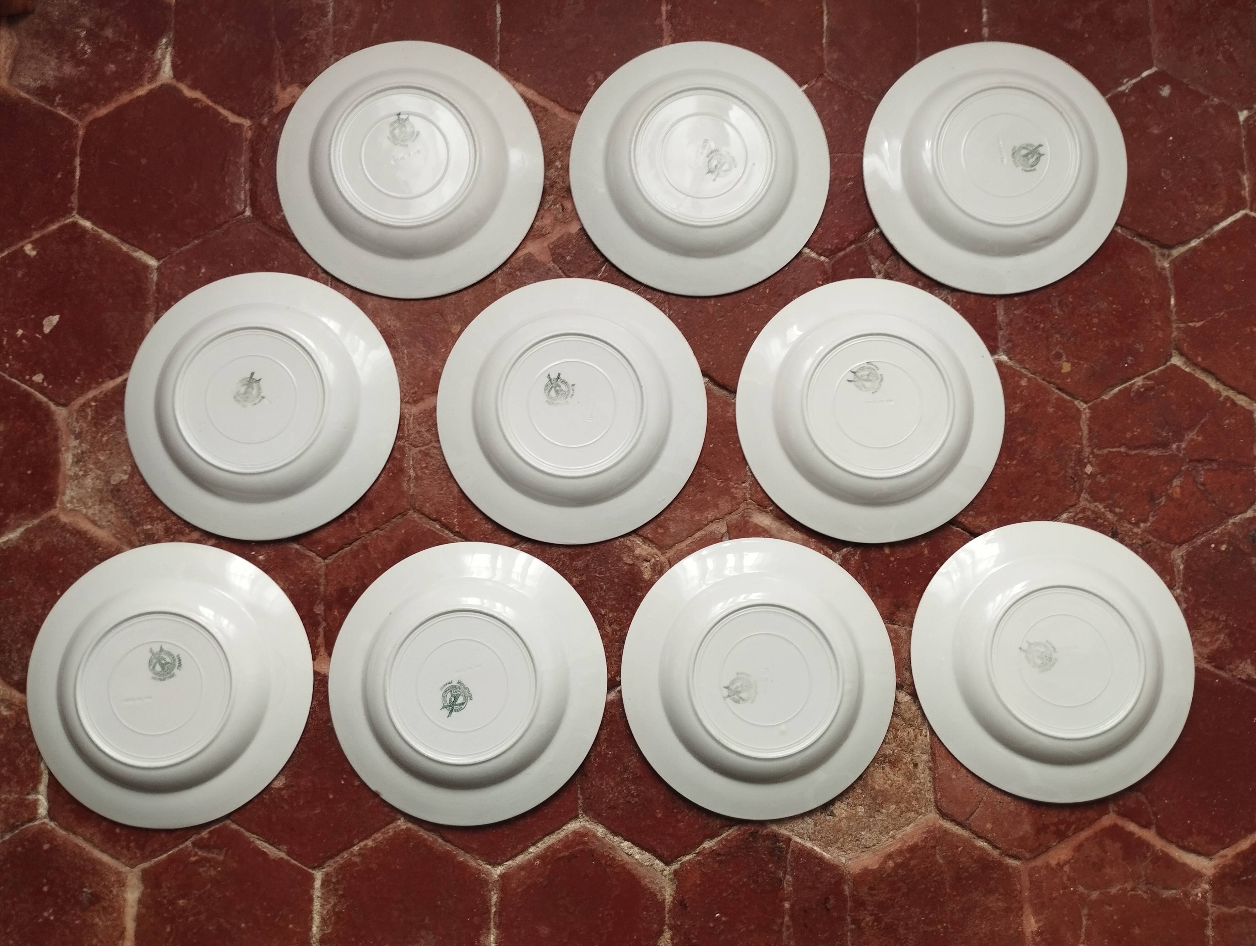 Set of 10 large ironstone plates Art Deco Saint-Amand Water Lily