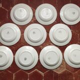 Set of 10 large ironstone plates Art Deco Saint-Amand Water Lily