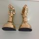 Pair of greenhouse books Greyhound brass heads 60/70