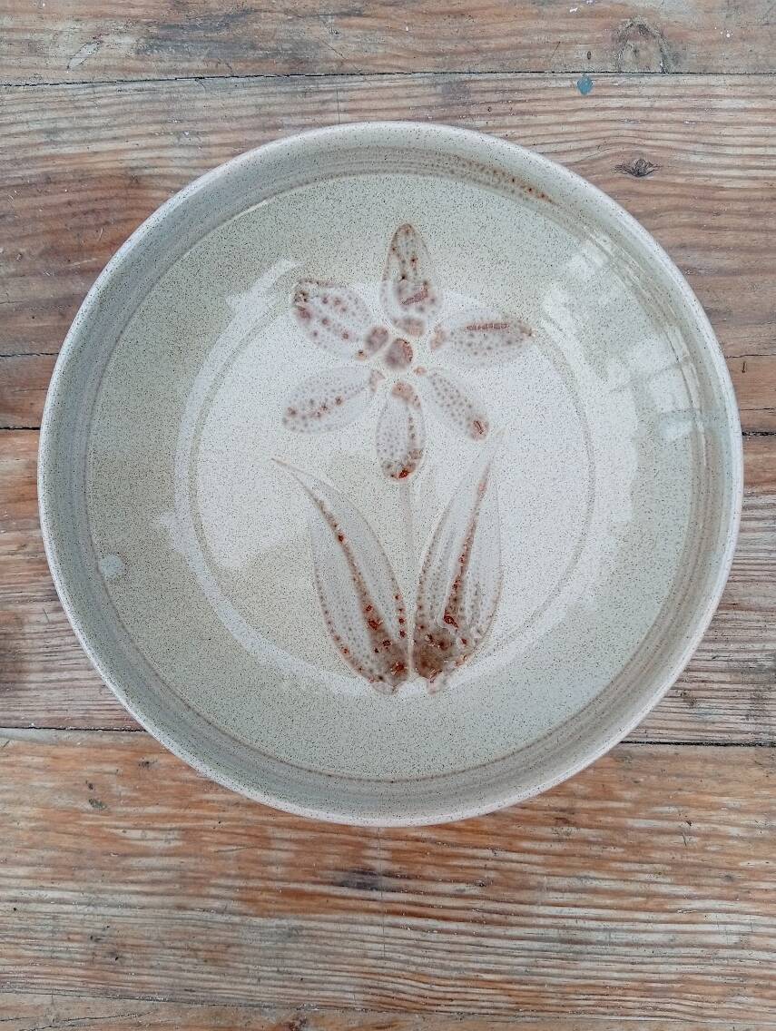 6 Sarreguemines deep plates