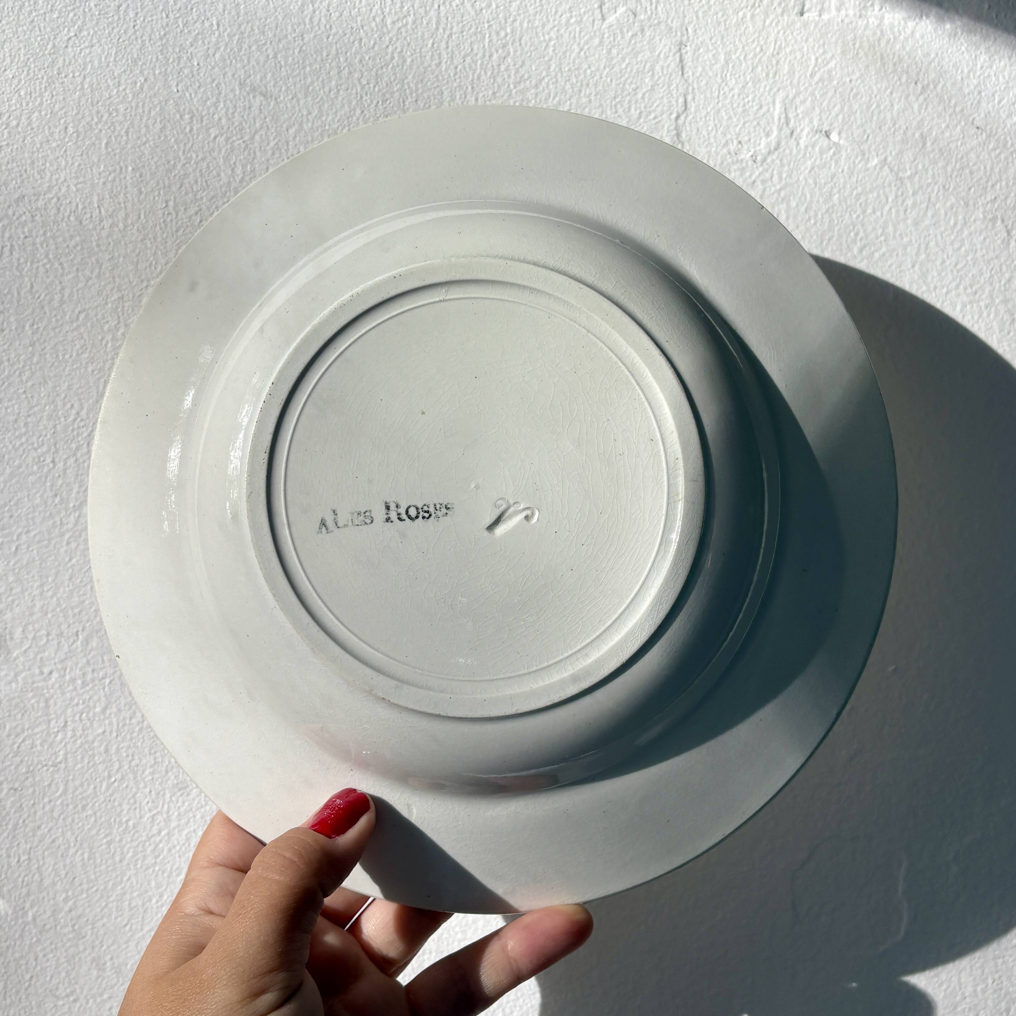 Set of 12 vintage soup plates - Les Roses -