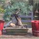 Pair of Art Deco asymmetrical red oxblood ceramic vases