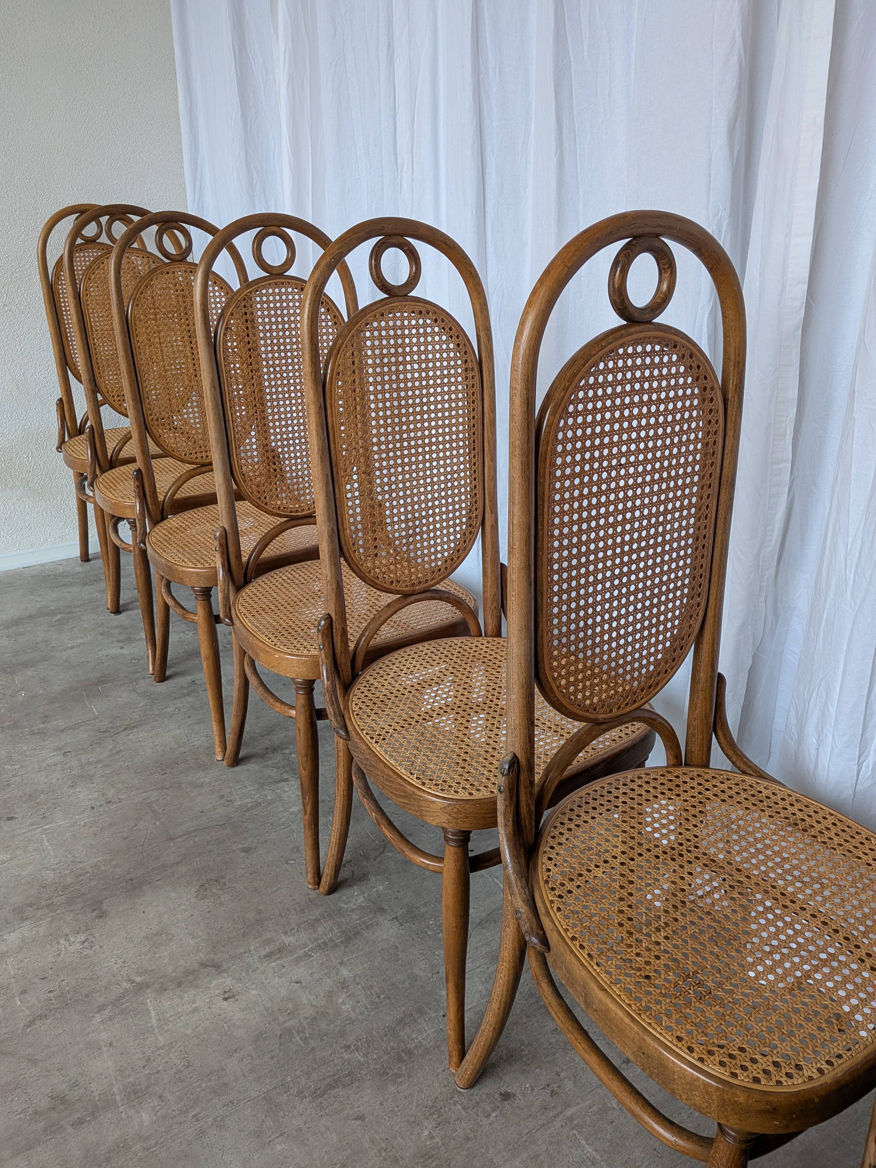 Set of 8 Vintage Bentwood Cane Dining Chair, Thonet Style, 1970s Yugoslavia