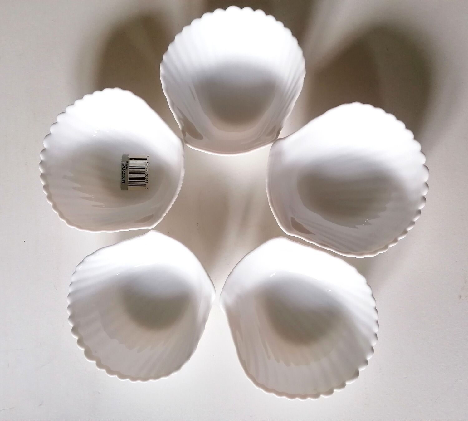 5 coupelles coquillage en opaline arcopal