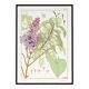 “Lilac” poster, after an Art Nouveau lithograph from 1897