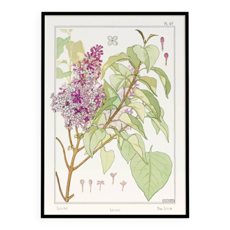 “Lilac” poster, after an Art Nouveau lithograph from 1897