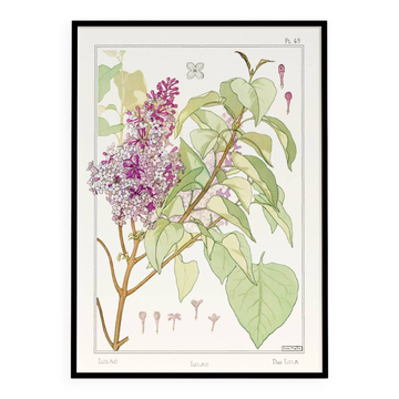 Affiche “Lilas”, d’après une lithographie art nouveau de 1897