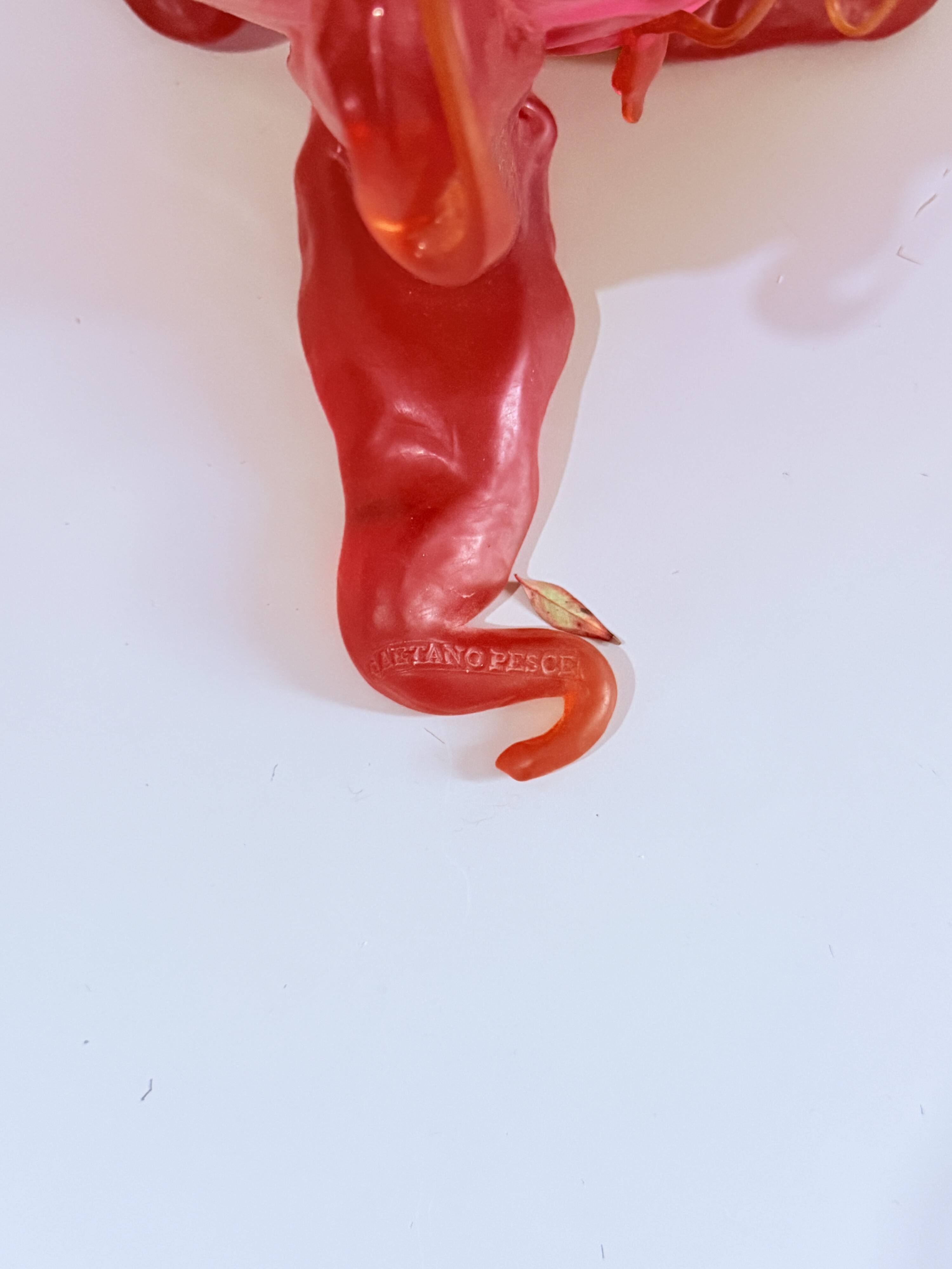 Fish Design by Gaetano Pesce - Clear Special Vase L - Limited edition