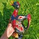 Pichet Duck Vallauris