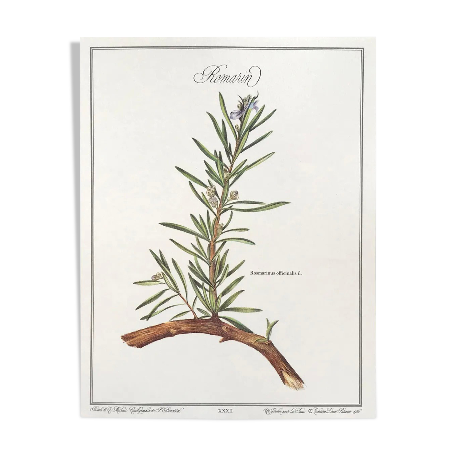 Botanical plank the rosemary