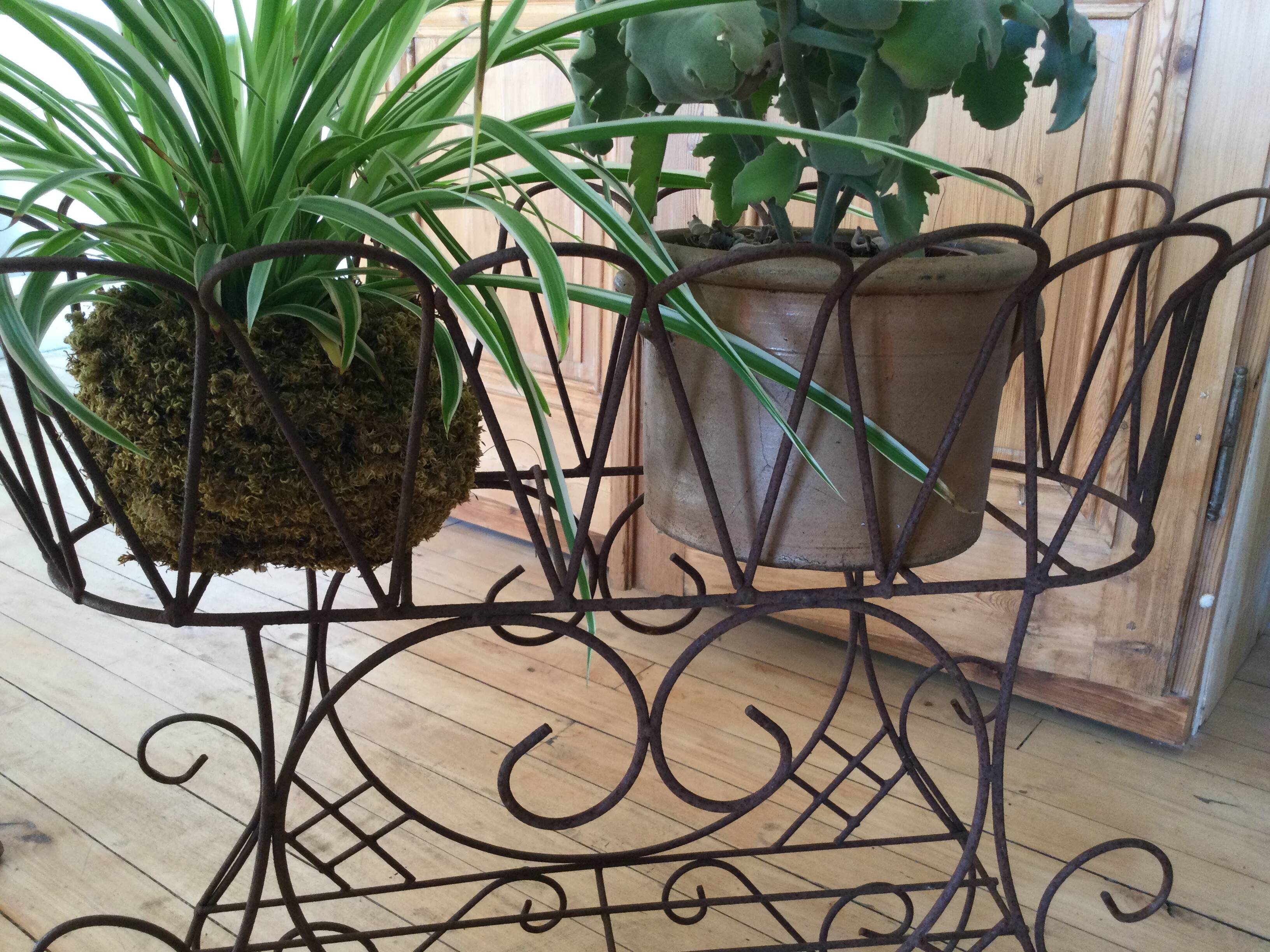 Antique iron plant stand