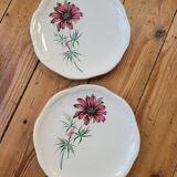 Set of 9 pink daisy dessert plates