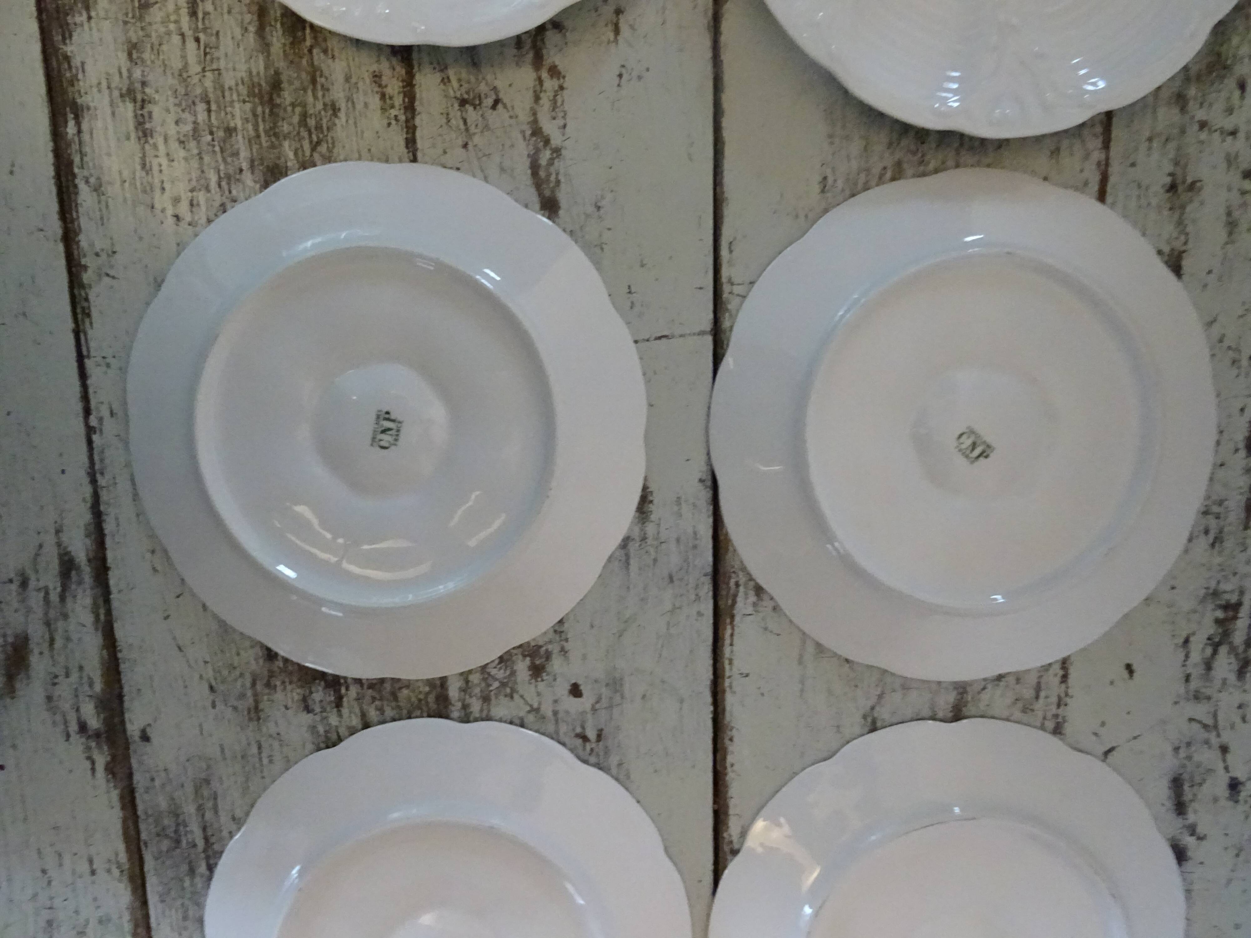 6 oyster plates 30123 porcelain white cnp france