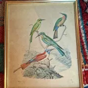 Set of 4 authentic antique naturalist lithographs (circa 1850)