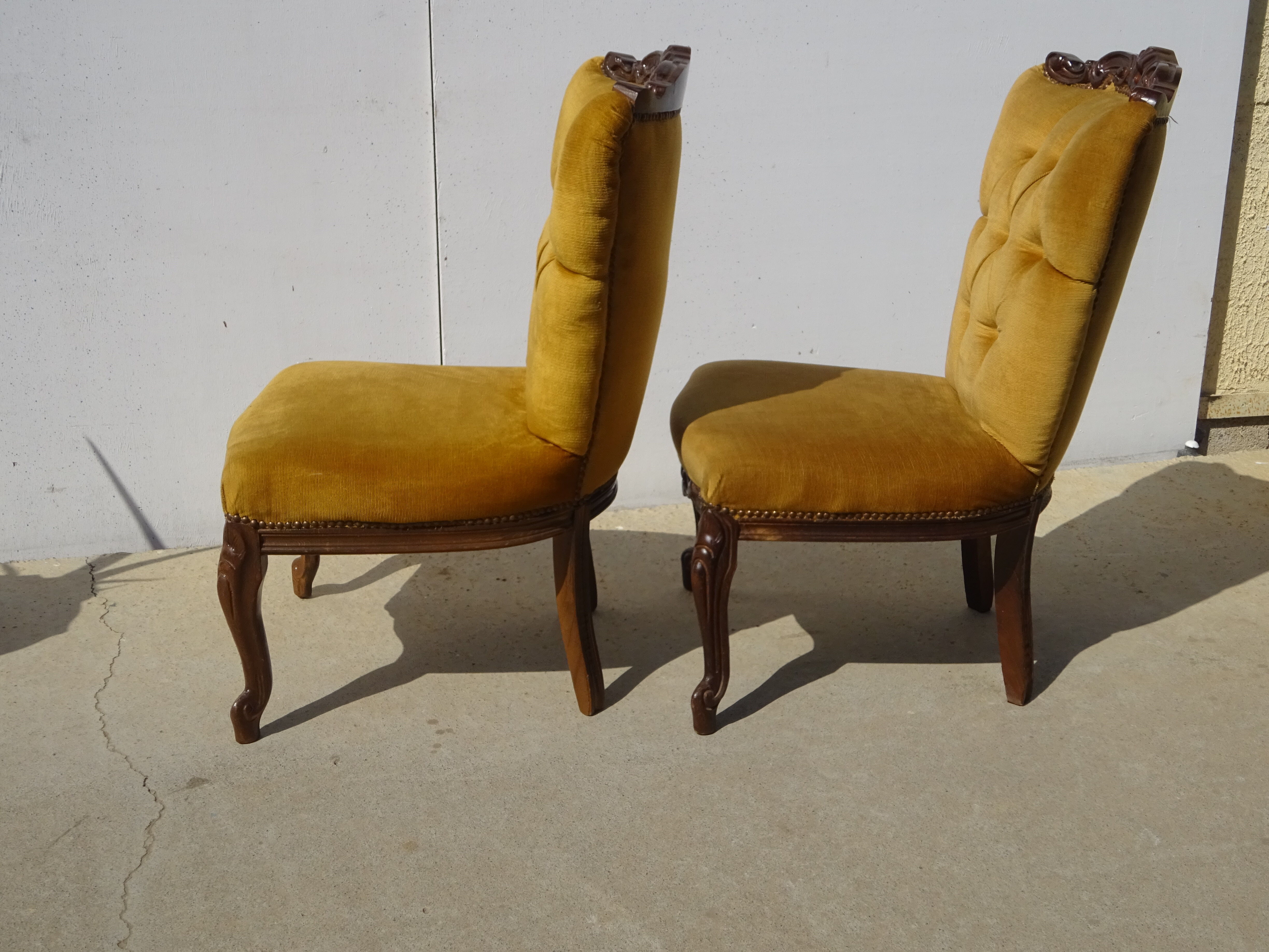 Golden yellow velvet armchairs