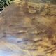 Round dining table Louis XVI style + 4 extensions