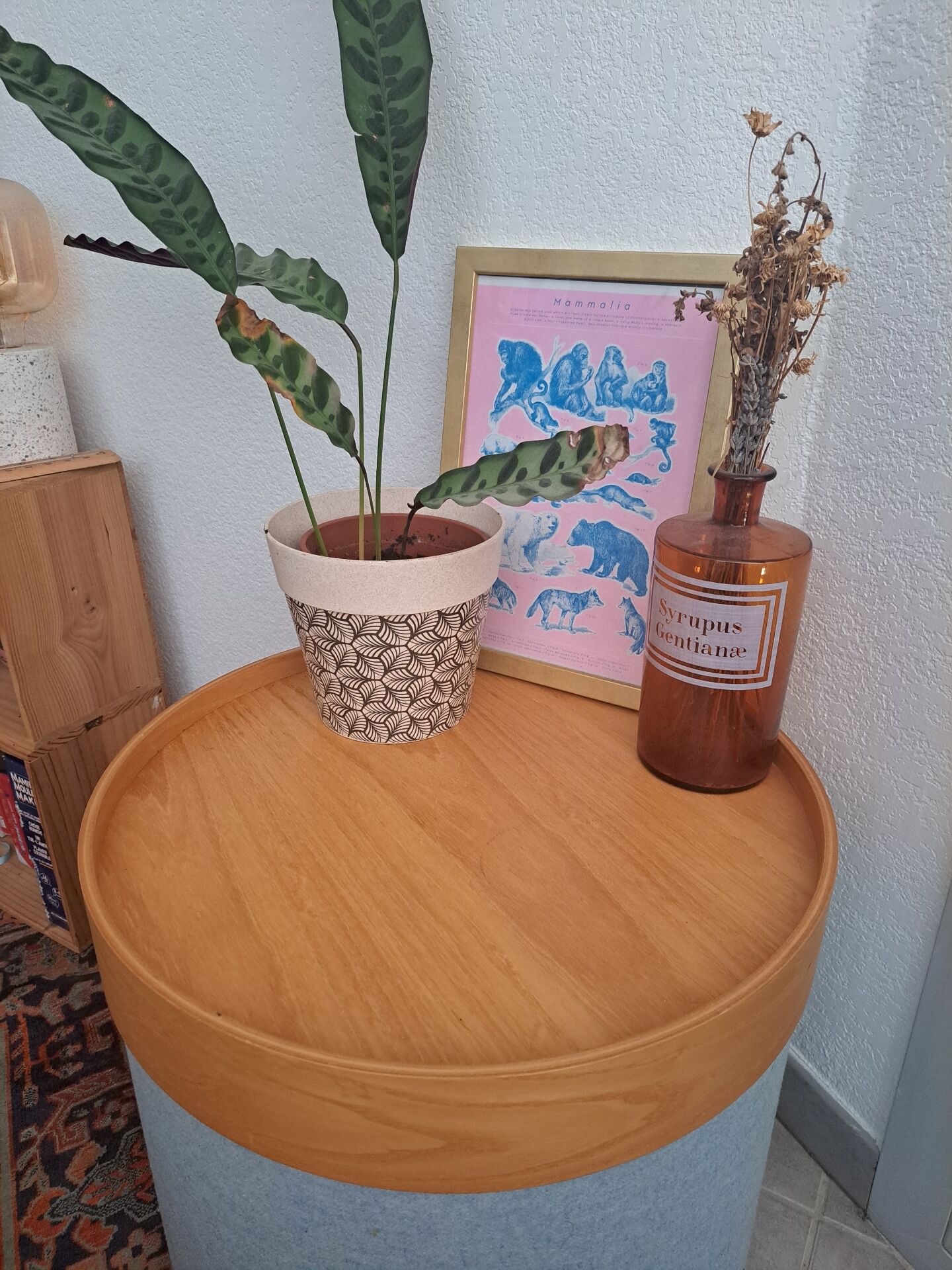 Drum Side Table Softline