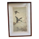 Antique print by Léon Danchin – Mallard ducks – Period framing