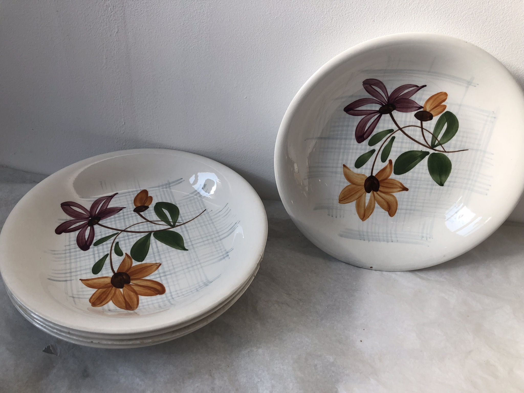 Set of 5 plates old Sarreguemines Digoin Daniel