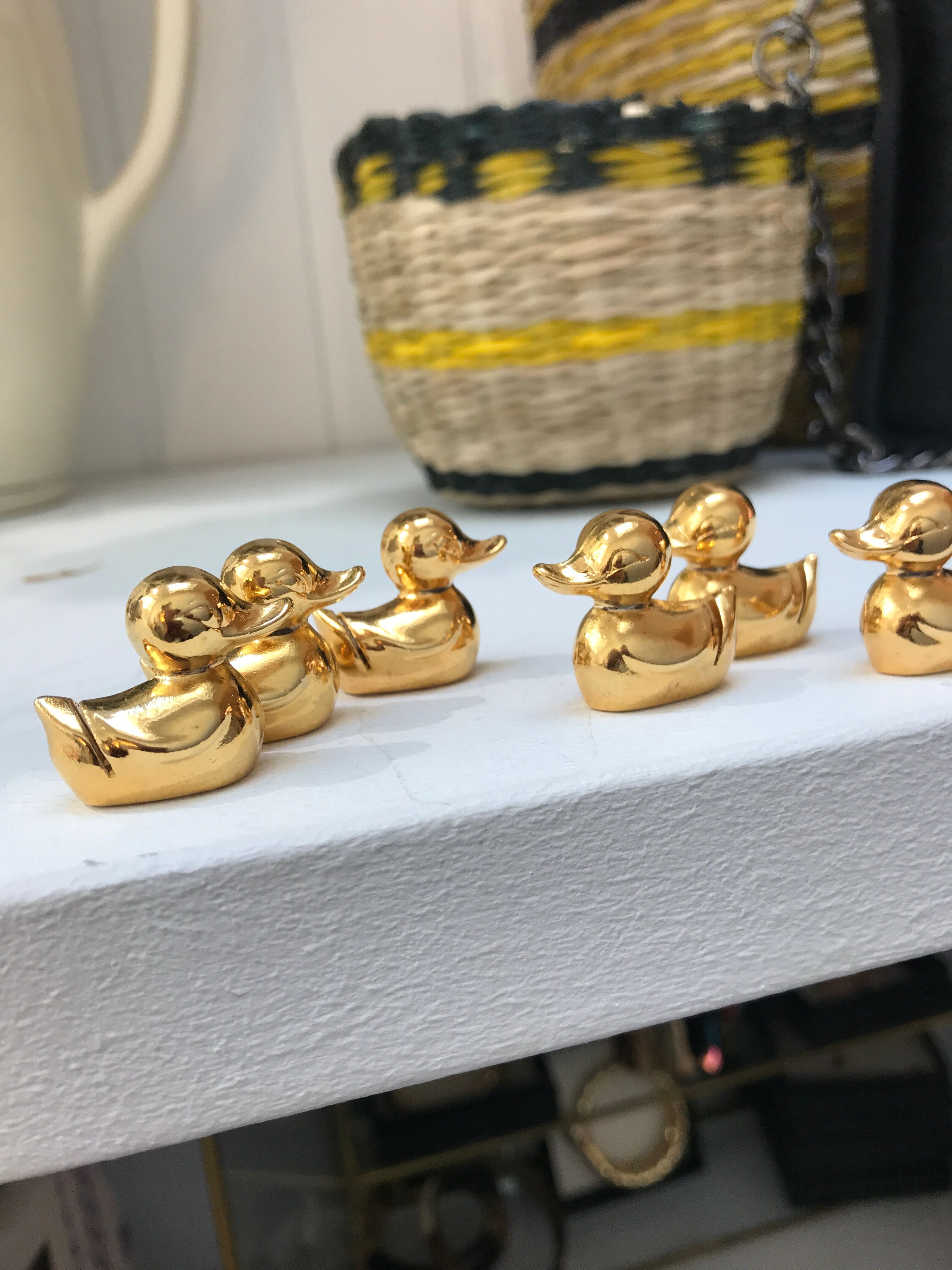 6 duck name holders