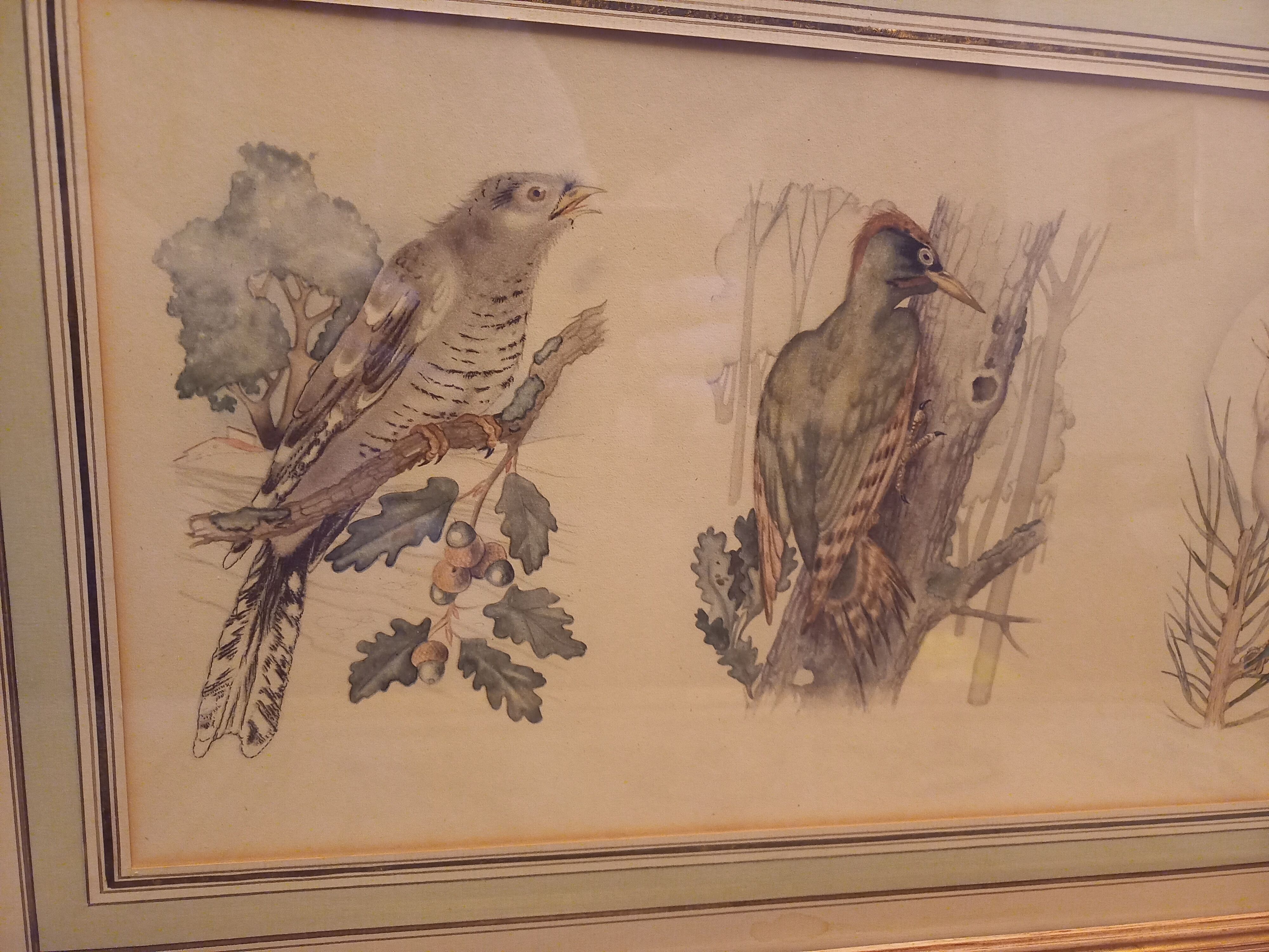 Lot 2 watercolors ancient birds