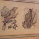 Lot 2 watercolors ancient birds
