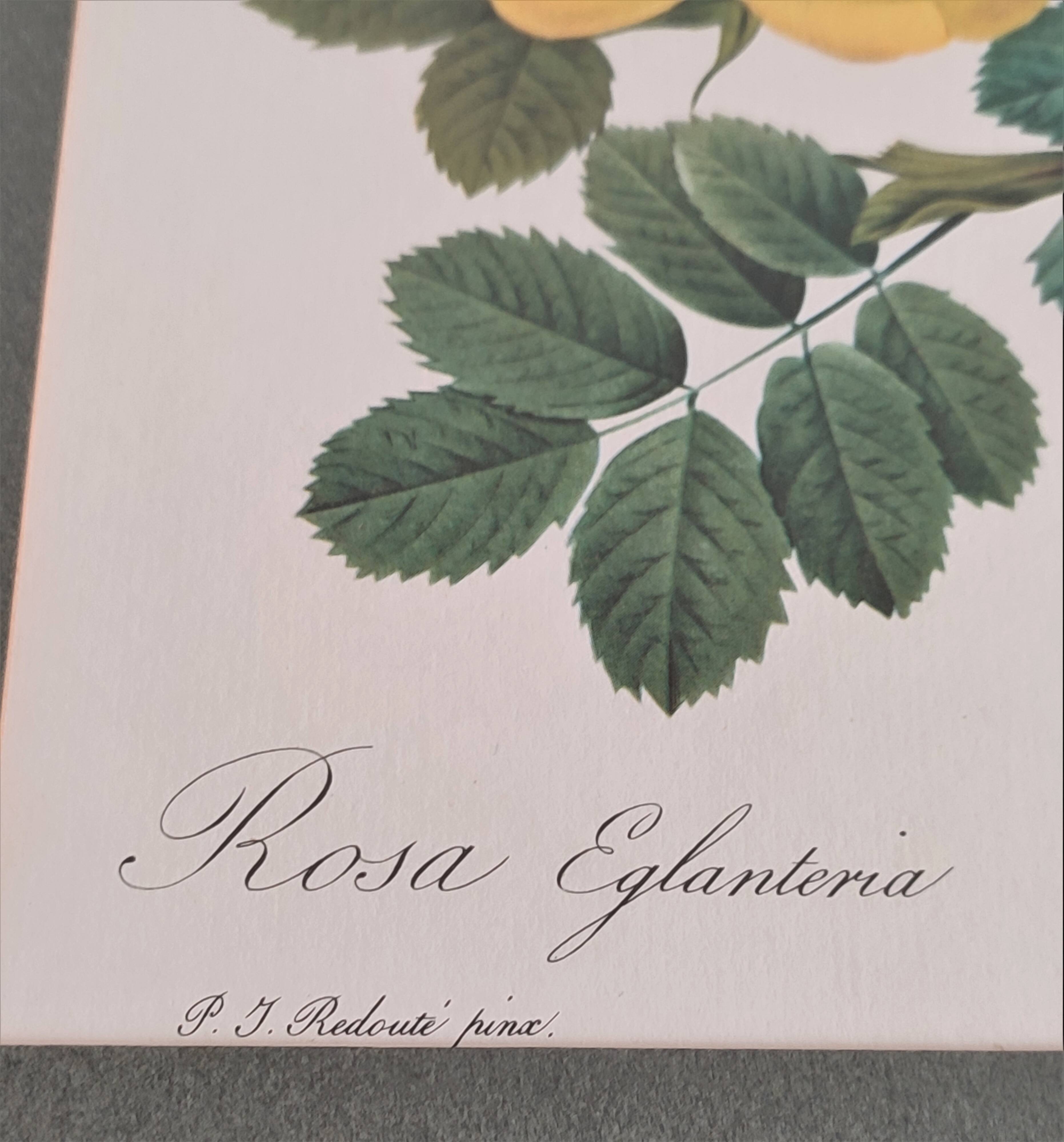 Dreaded Botanical Board