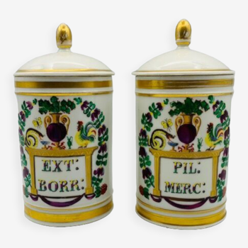 Deux pots à pharmacie à décor polychrome