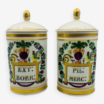 Two medicine jars with polychrome decoration