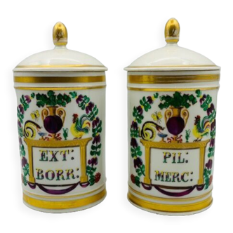 Deux pots à pharmacie à décor polychrome