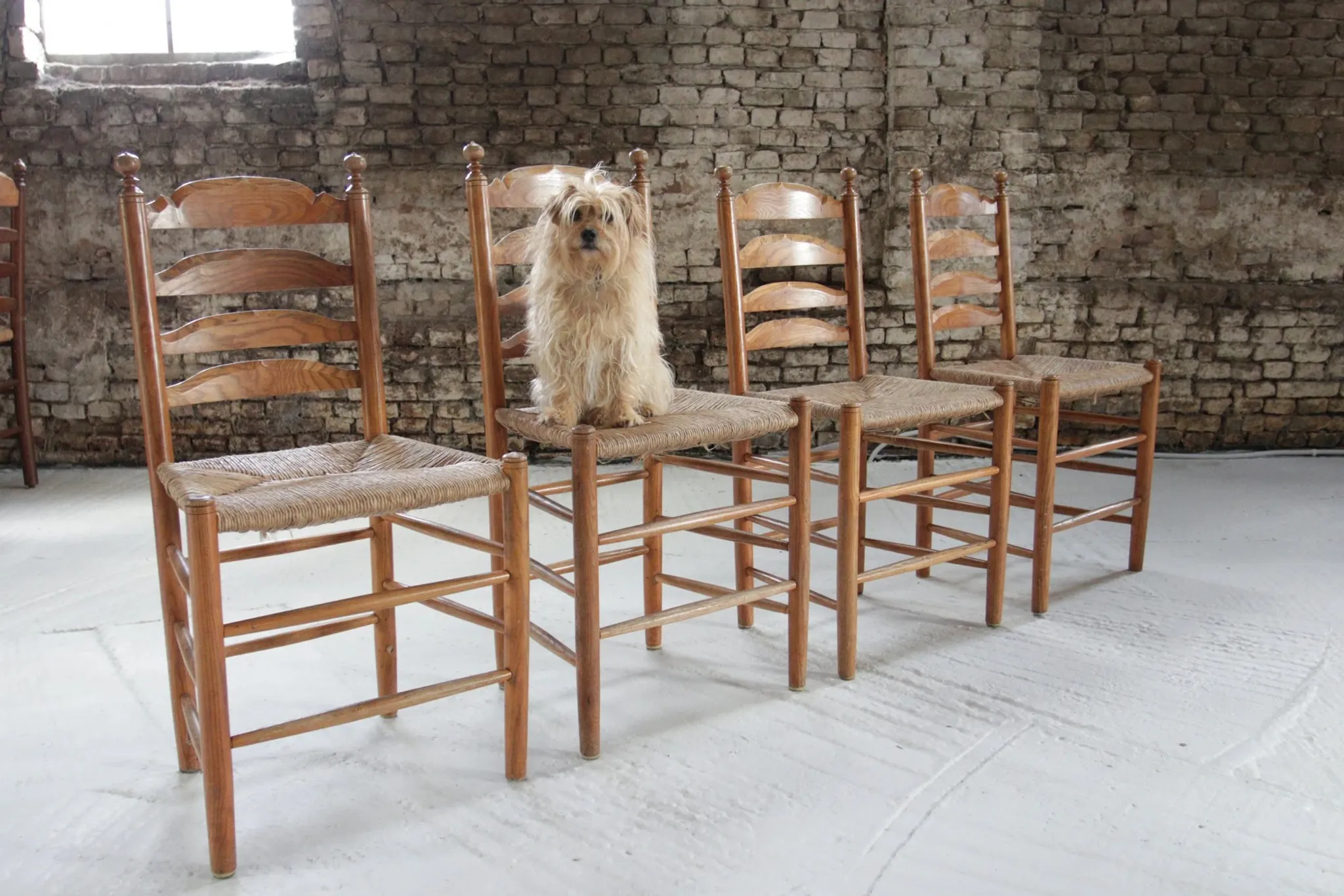 Set of 4 old Dutch oak ladderback chairs with rush seats – 1960s