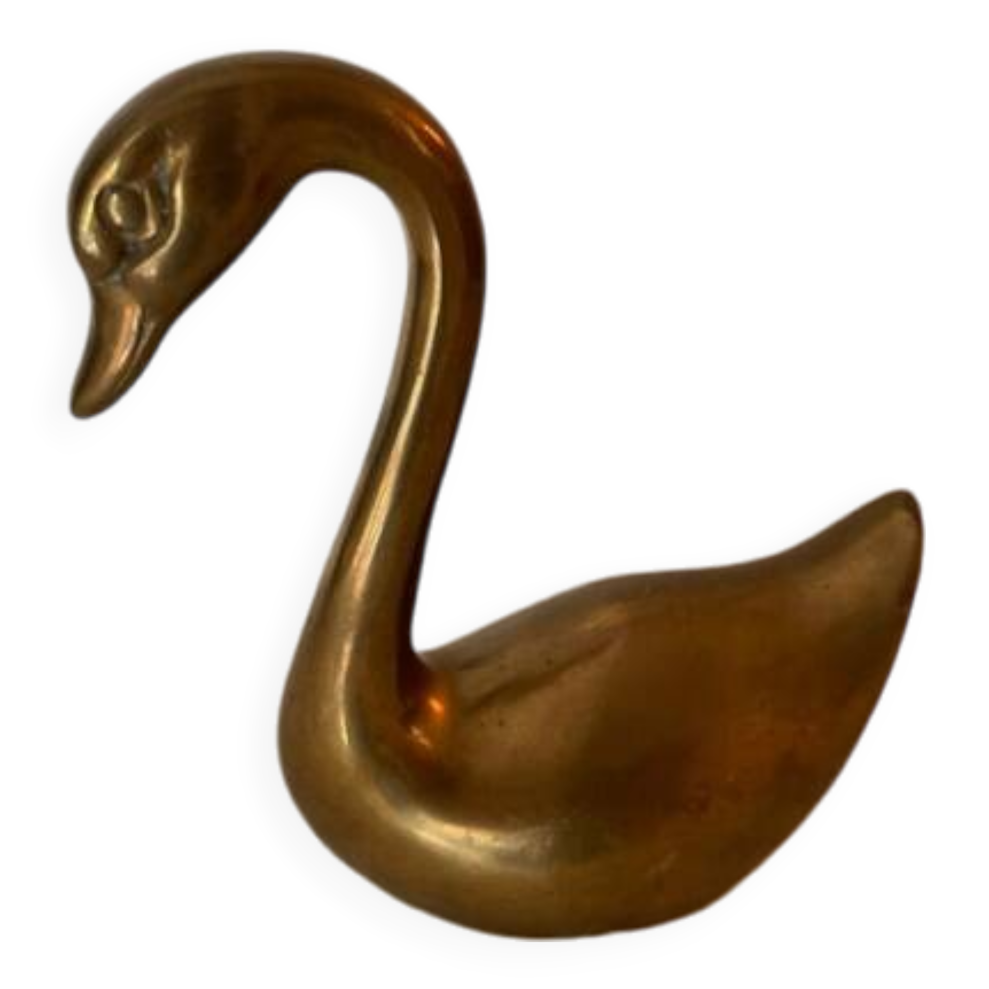 Swan
