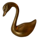 Swan