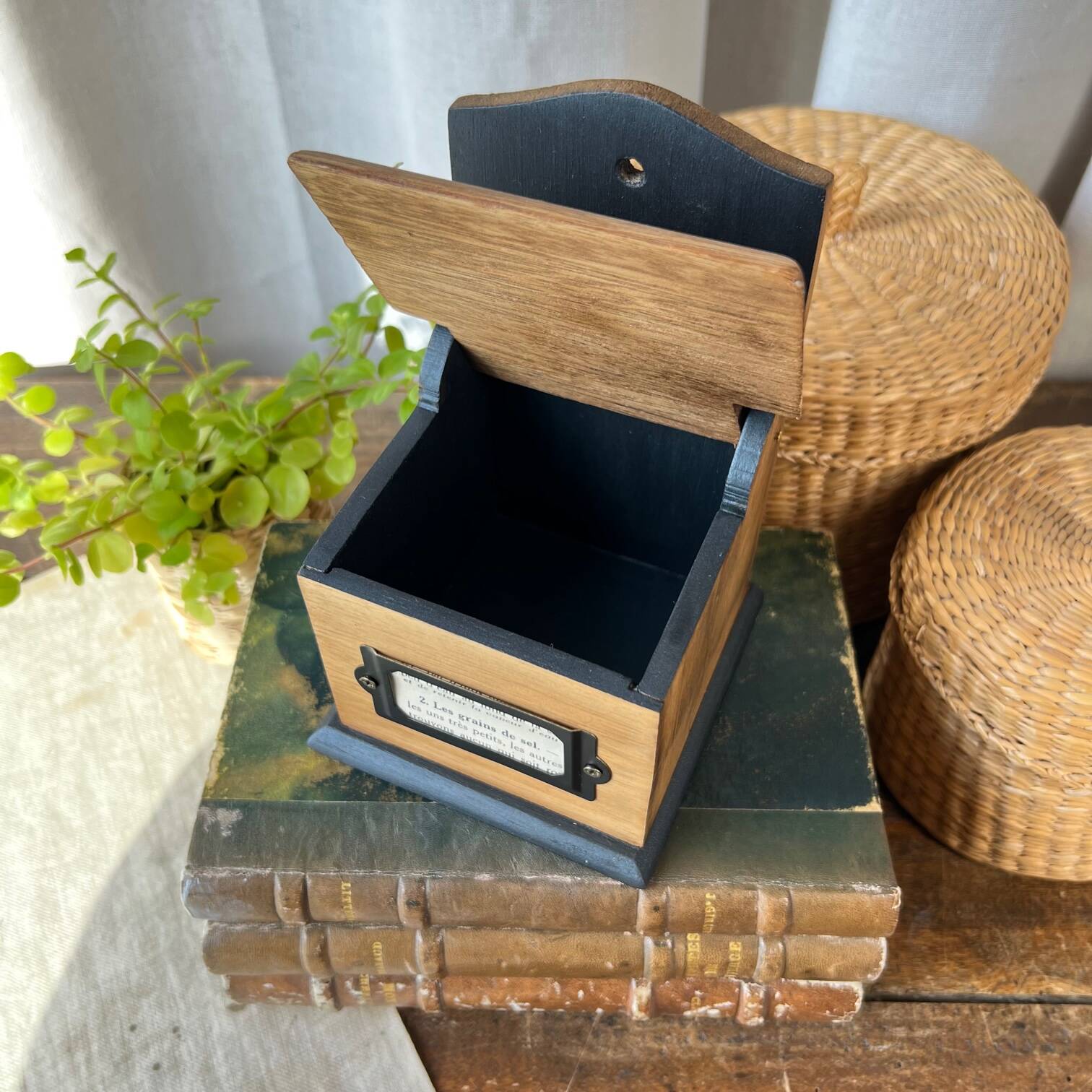 Small “grains of salt” salt box