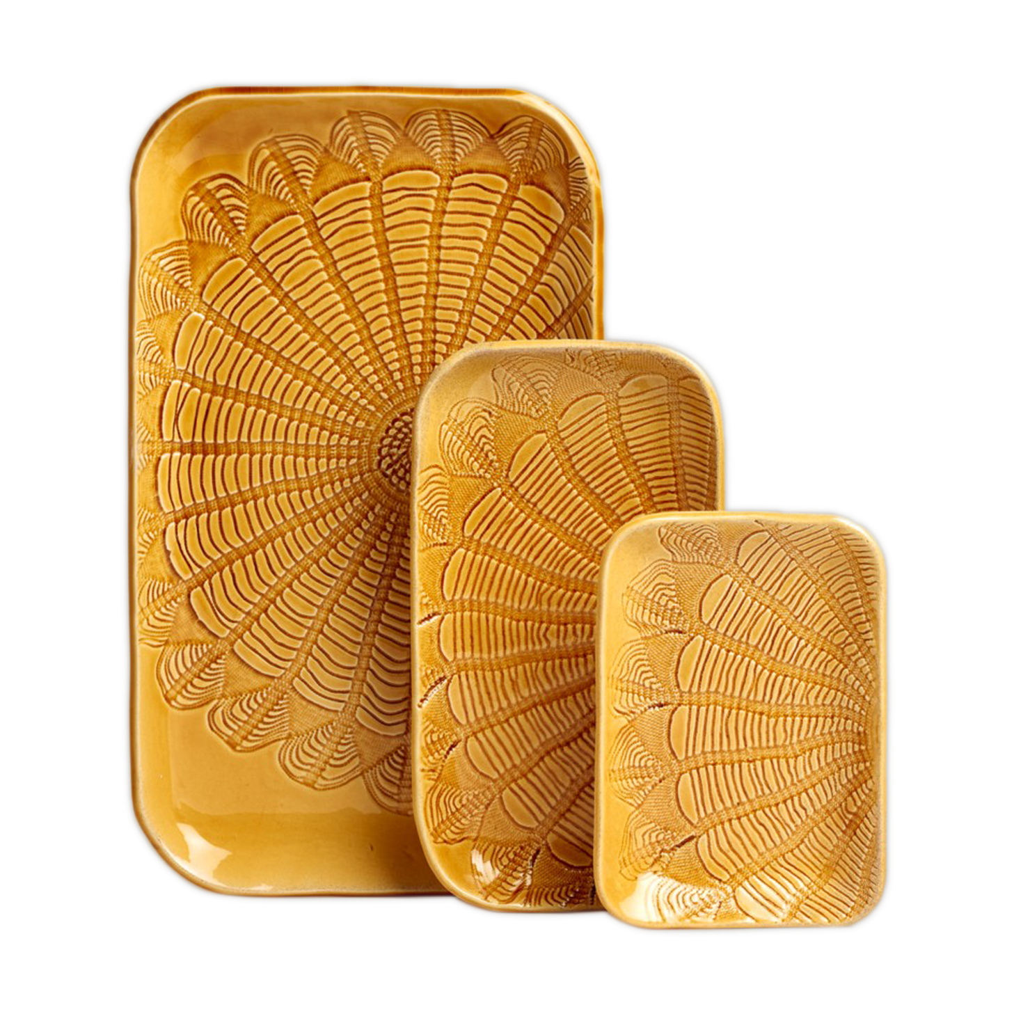 Box plata saffron S,M,XL