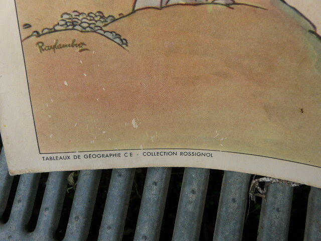 School poster Rossignol collection years 50,N° 45 and 46 the tundra - the virgin forest