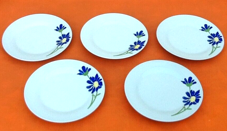 5 porcelain plates with floral decoration