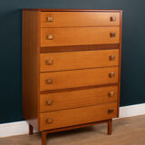 Retro 1960s teak & afromosia tall chest of drawers by homeworthy