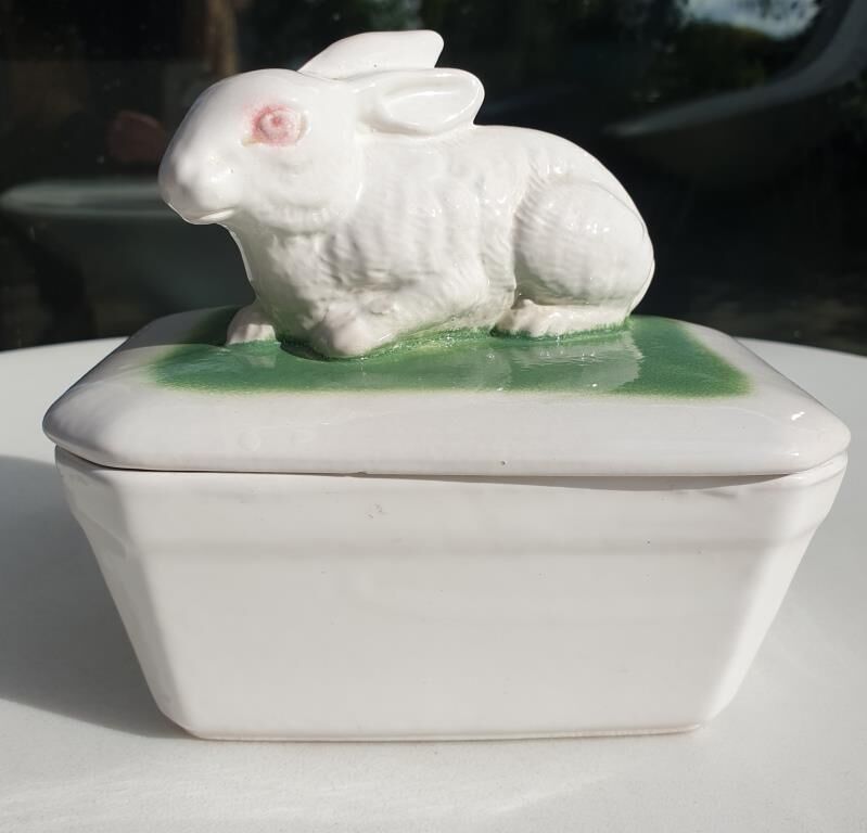 Pot terrine rabbit of Bavent in white earthenware on square of greenery