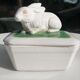 Pot terrine rabbit of Bavent in white earthenware on square of greenery