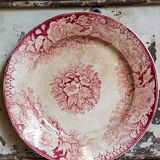 Five plates of earthenware from Pexonne 19th service "flowers"