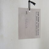 Luminaire wall lamp golden palm tree Sergio Terzani numbered