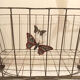 Old metal cradle from the late 1920s