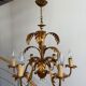 Lustre Hans Kogl